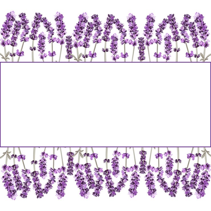 Vetor imagem vetorial de um quadro com raminhos de lavanda em cores lilás