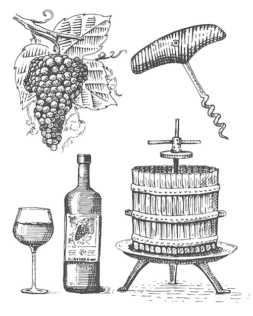 Imprensa para uvas esboçar garrafa de vinho saca-rolhas e vidro em estilo vintage ilustração gravada em xilogravura