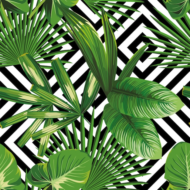 Imprima folhas de palmeira tropicais da planta exótica da selva do verão. Teste padrão, vetor floral sem emenda no fundo geométrico branco preto. Papel de parede natureza.