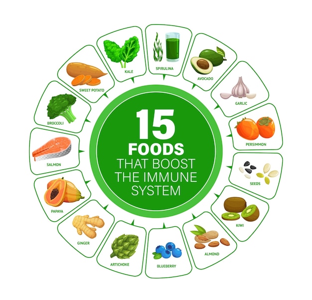 Impulsionadores de alimentos para gráfico de infográficos do sistema imunológico