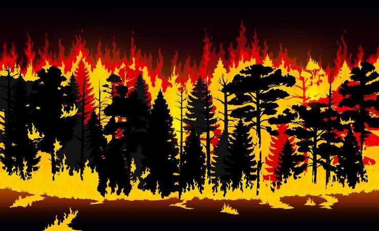 Vetor incêndio florestal queimando árvores e grama