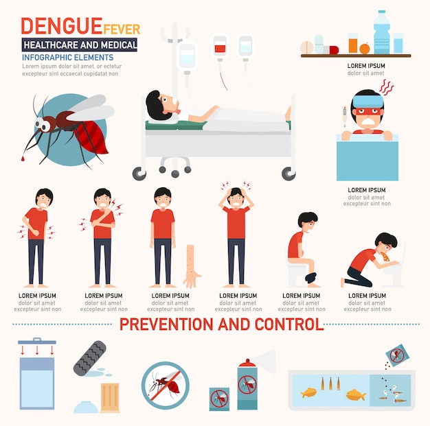 Vetor infografia de dengue