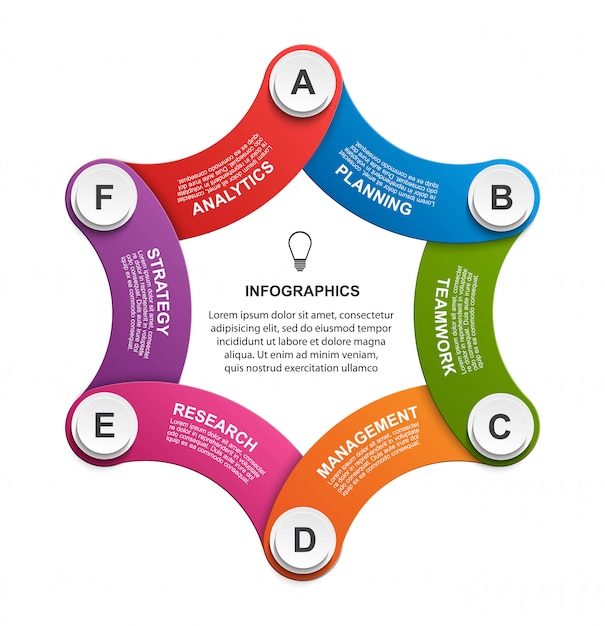 Vetor infografia de opções de negócios.