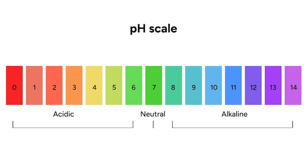 Infográfico da escala de pH