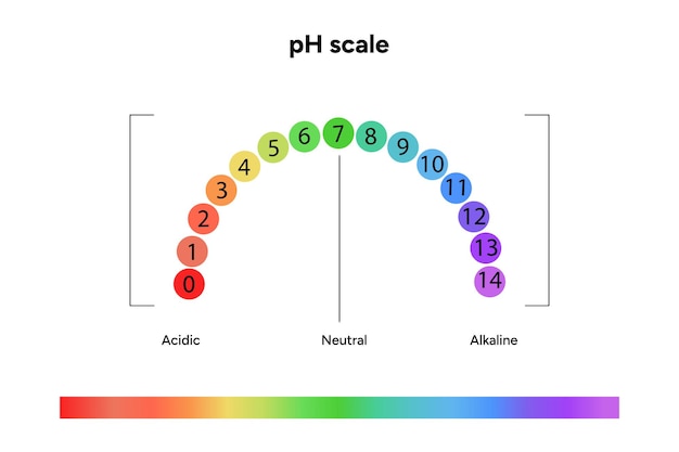 Infográfico da escala de pH