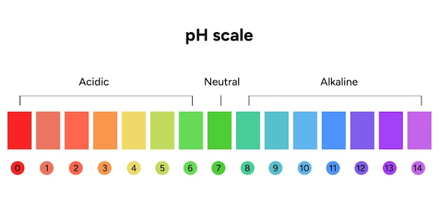 Infográfico da escala de pH