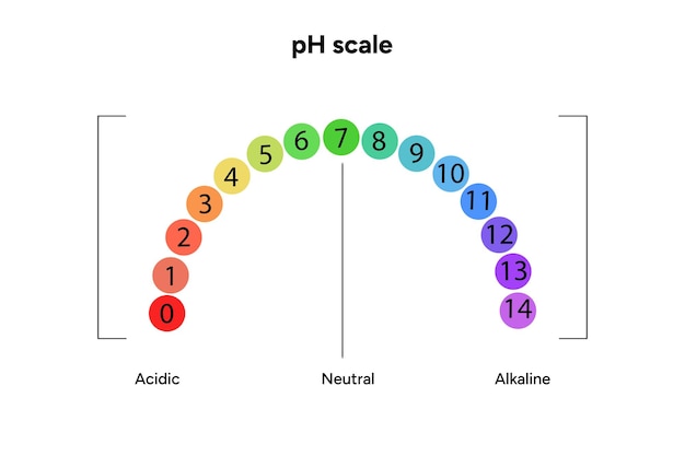 Infográfico da escala de pH