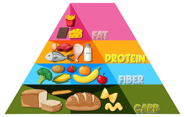 Vetor infográfico da pirâmide alimentar dos desenhos animados, um guia nutricional