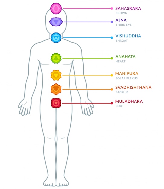 Vetor infográfico de chakras do corpo masculino