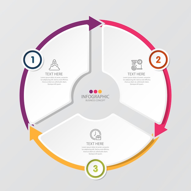 Vetor infográfico de círculo básico com 12 etapas, processo ou opções.