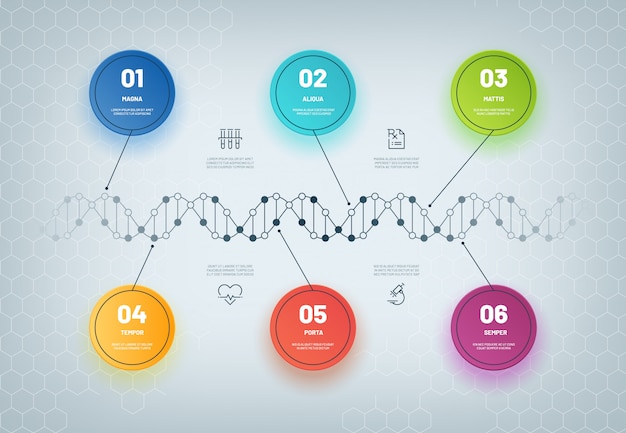 Infográfico de dna. diagrama de cadeia molecular, infográfico de etapa médica, fluxo de trabalho de negócios. resumo do modelo genético