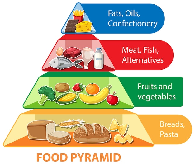 Vetor infográfico de nutrição da pirâmide alimentar de desenhos animados