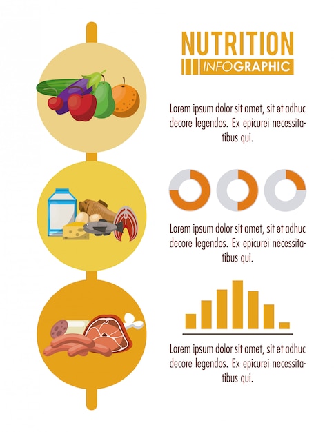 Vetor infográfico de nutrição e comida