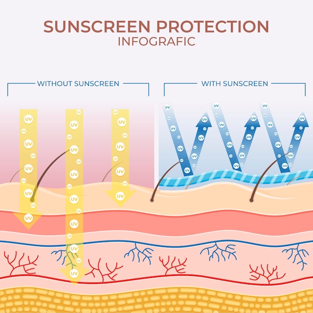 Vetor infográfico de proteção solar plana