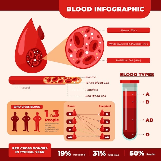 Infográfico de sangue de design plano