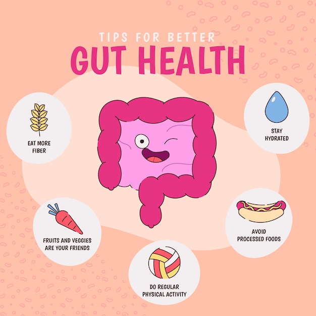 Vetor infográfico de saúde intestinal desenhado à mão