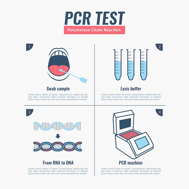 Infográfico de teste de reação em cadeia da polimerase