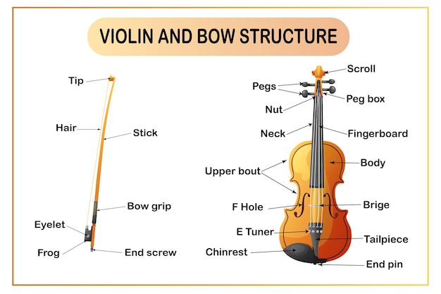 Infográfico de violino e arco a estrutura de um instrumento musical quebrando um violino material para aprendizagem