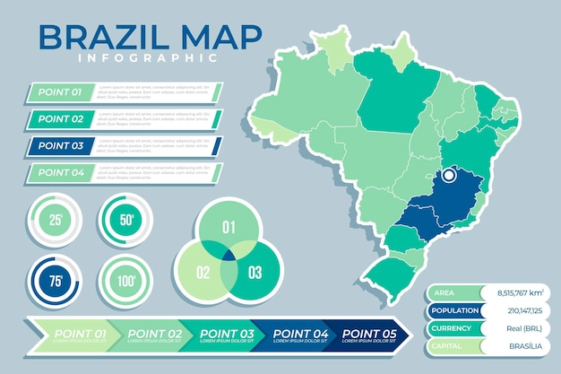 Vetor infográfico do mapa do brasil plano