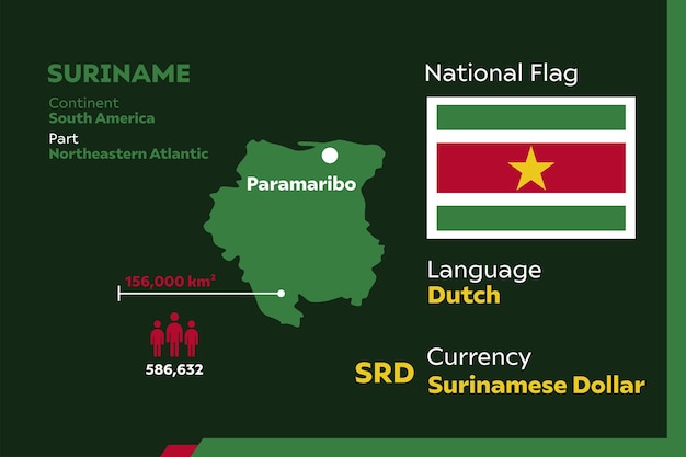 Vetor infográfico do suriname