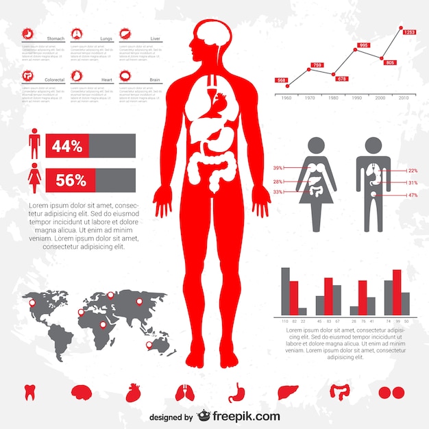 Vetor infográfico médico gratuito vector