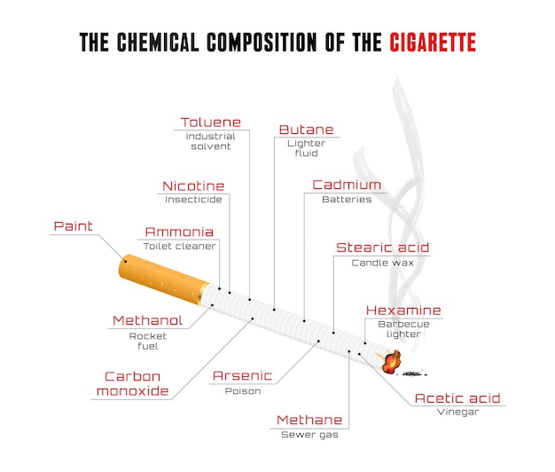 Vetor infográficos sobre os perigos do tabagismo a composição dos cigarros e do fumo de tabaco