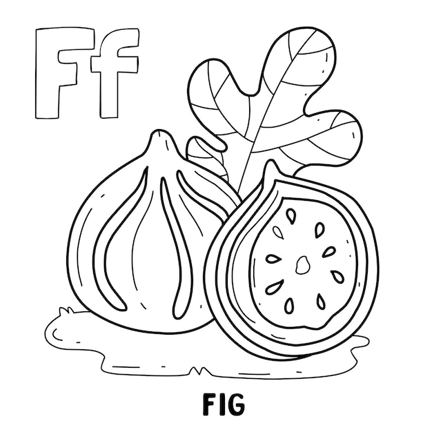 Informação de frutas do alfabeto para colorir com desenho de frutas de letra desenhada à mão