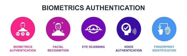 Inovação de estratégia digital internet SEO SEM ícones Modelo de design de infográfico Conceito criativo com 5 etapas