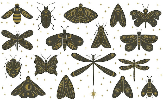 Insetos desenhados à mão da libélula da borboleta da mariposa boho mística. conjunto de ilustração vetorial de libélula, borboleta, besouro e mariposa mágica bruxaria. insetos selvagens místicos de feitiçaria