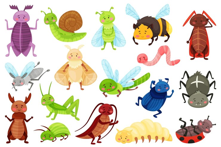 Vetor insetos dos desenhos animados insetos de jardim bonitos libélula aranha joaninha libélula caracol engraçado libélula sorrindo personagens de insetos para crianças vector set ilustração de libélula e besouro