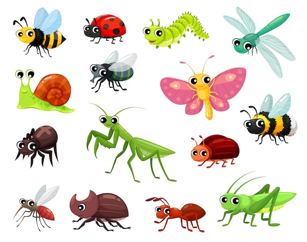 Vetor insetos dos desenhos animados, personagens de crianças engraçadas, besouro de insetos