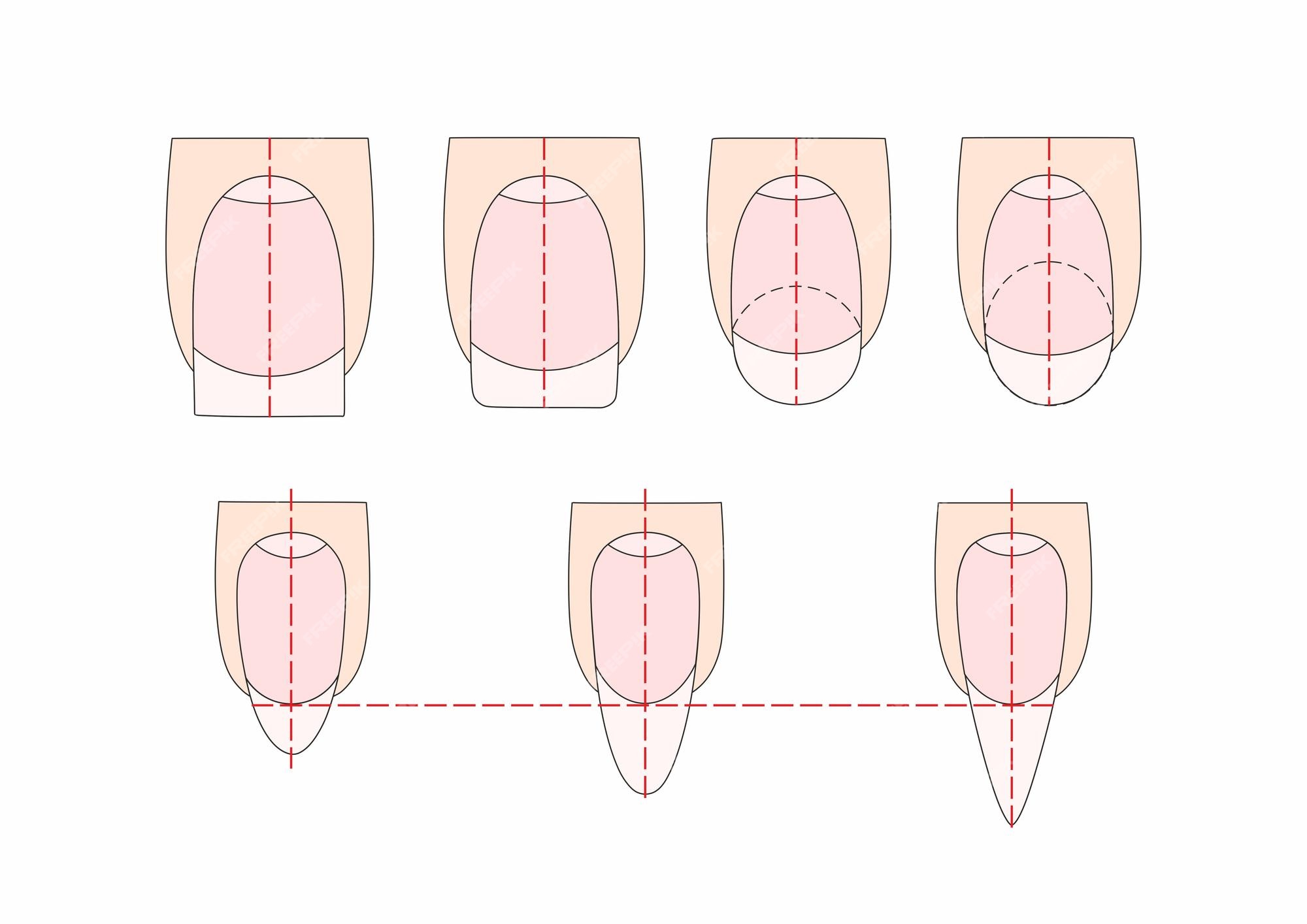 Fundo Manicure Manicure Senhora Unhas Com Os Dedos Mapa