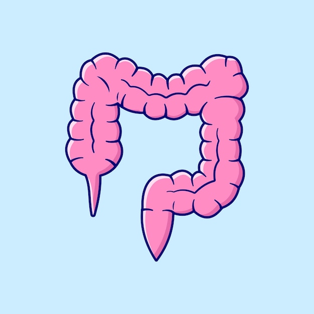 Intestinos órgão vital ilustração vetor ícone isolado