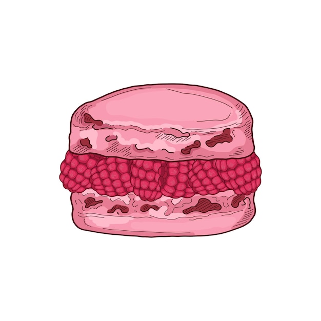 Ispahan framboesa macaron francês pastelaria pastelaria bolo ilustração vetorial colorida