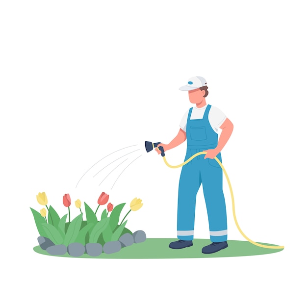 Jardineiro regando canteiro de flores personagem sem rosto cor lisa. Homem que cresce flores isolado ilustração dos desenhos animados para animação e design gráfico da web. Serviço de horticultura, jardinagem, paisagismo