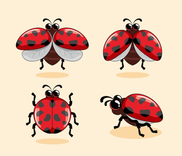 Vetor joaninha vermelha dos desenhos animados coccinellidae animais bonitos joaninha