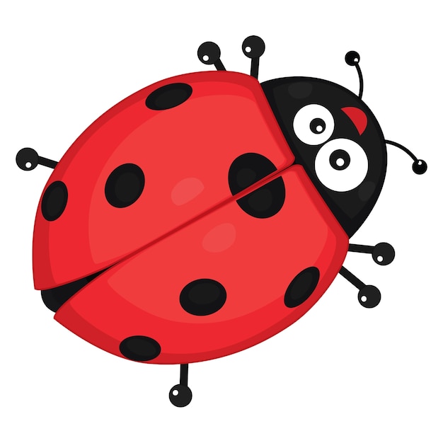 Ilustração Vetorial De Uma Ladybug Ilustração do Vetor - Ilustração de  joaninha, corpo: 198166995