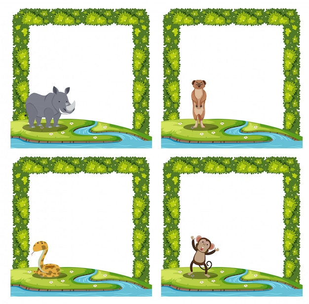 Jogo, de, animal, quadro