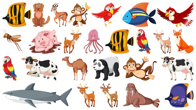 Jogo, de, animal selvagem