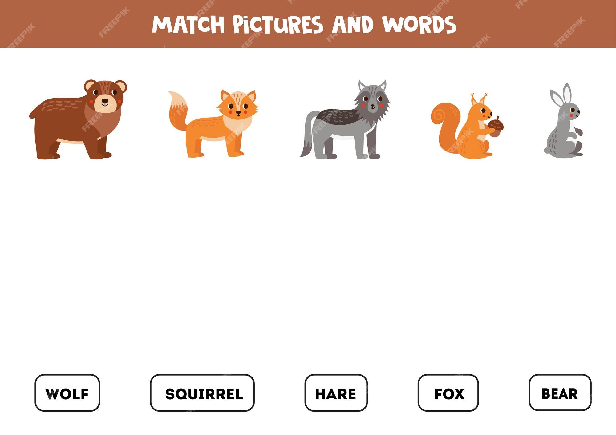 Jogo de correspondência combine palavras e animais fofos da