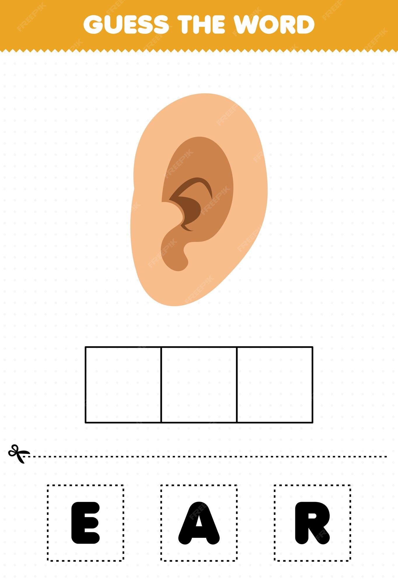 Jogo de educação para crianças adivinhar as letras da palavra praticando  orelha de anatomia humana de desenho animado bonito