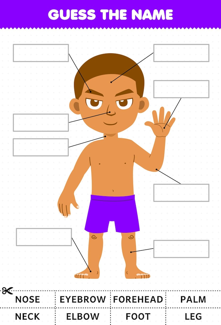 Vetor jogo de educação para crianças adivinhar o nome da planilha de anatomia de parte do corpo do menino bonito dos desenhos animados