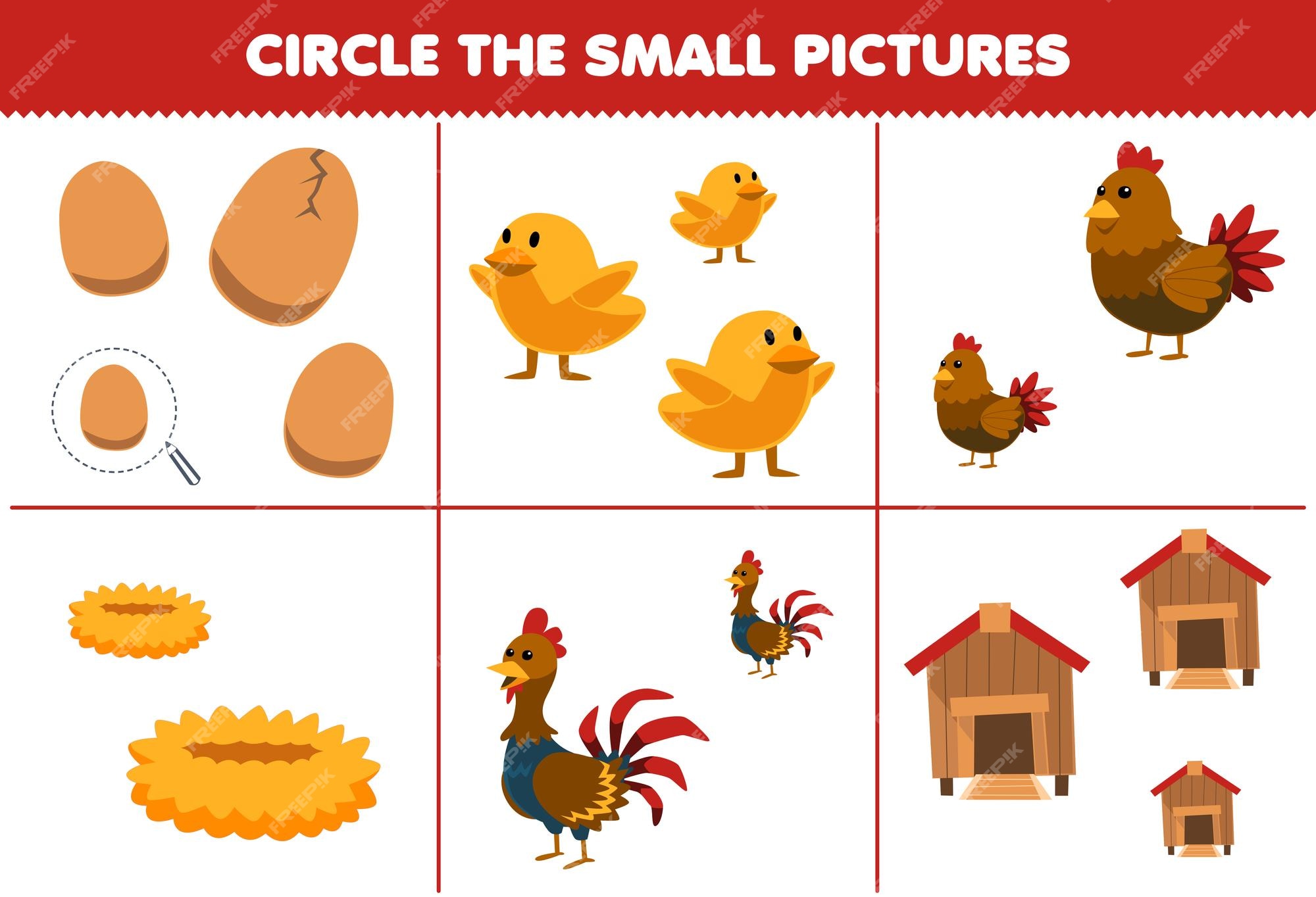 Jogo de educação para crianças circula a pequena imagem de desenho animado  bonito ovo pintinho galinha galinha galo ninho coop planilha de fazenda  imprimível