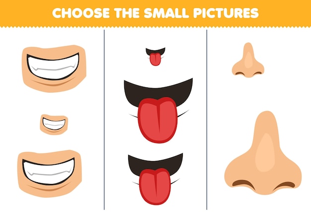 Jogo de educação para crianças, escolha a pequena imagem de dentes bonitos de desenho animado, língua e nariz, planilha de anatomia imprimível