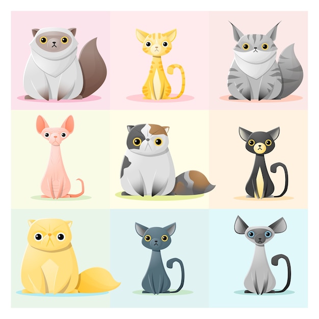 Jogo De Animação De Gatos, Animais De Estimação Coloridos E Achatados  Ilustração do Vetor - Ilustração de colar, cara: 224958039