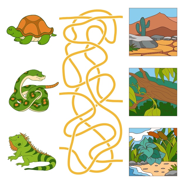 Jogo de labirinto para crianças, iguana de cobra tartaruga e habitat