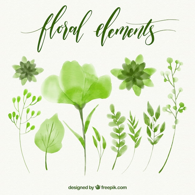Vetor jogo dos elementos aquarela floral verde