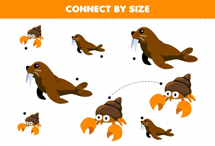 Vetor jogo educativo para crianças conectar pelo tamanho da morsa bonito dos desenhos animados e planilha subaquática para impressão de caranguejo eremita