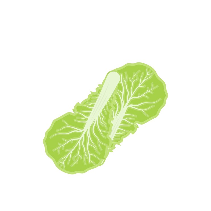 Vetor kimchi logo design comida tradicional coreana vector repolho verde vegetal logo ilustração ícone da marca da empresa
