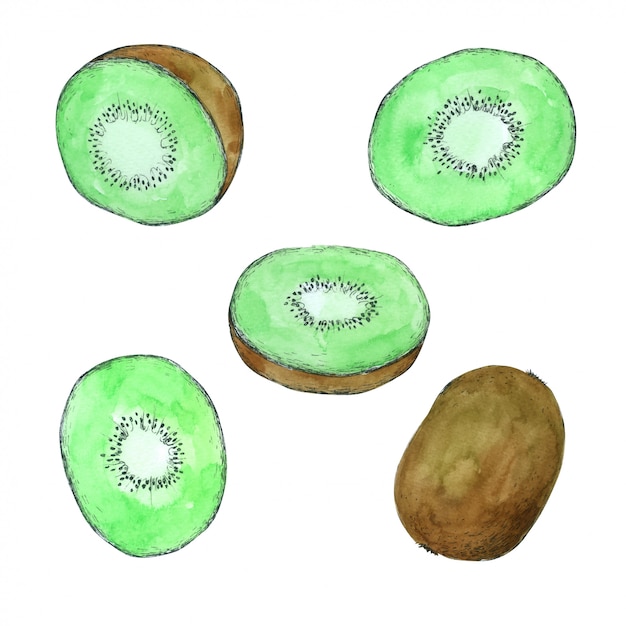 Kiwi Hand Pained na coleção de aquarela